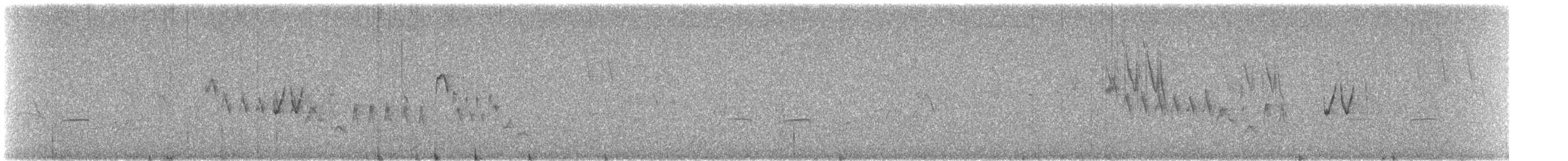 Southern House Wren - ML645836048