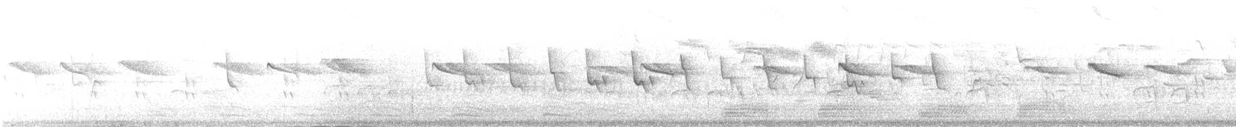 翠鳥(atthis群) - ML645836220