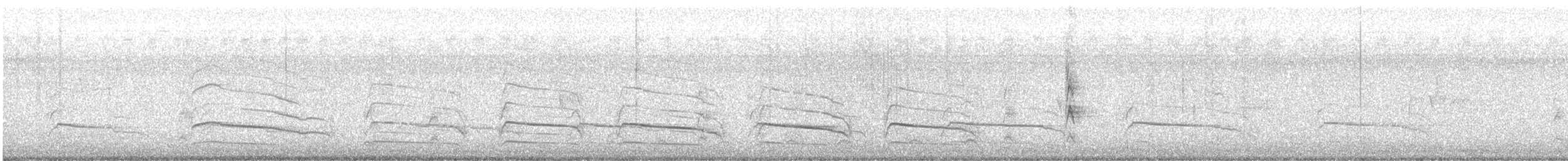 Red-shouldered Hawk - ML645836259