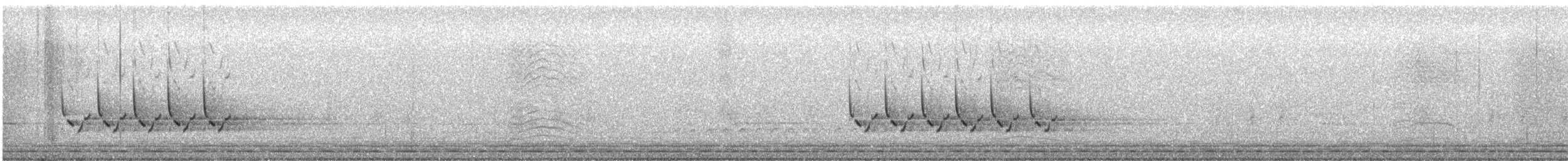 Carolina Wren - ML645836808