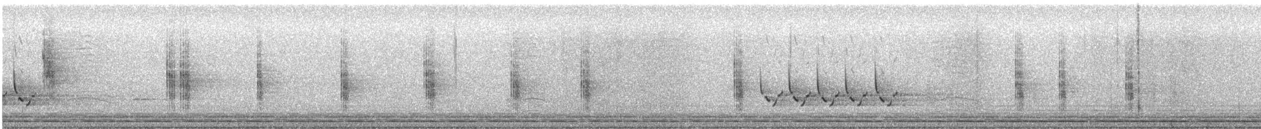 Gray Catbird - ML645836882