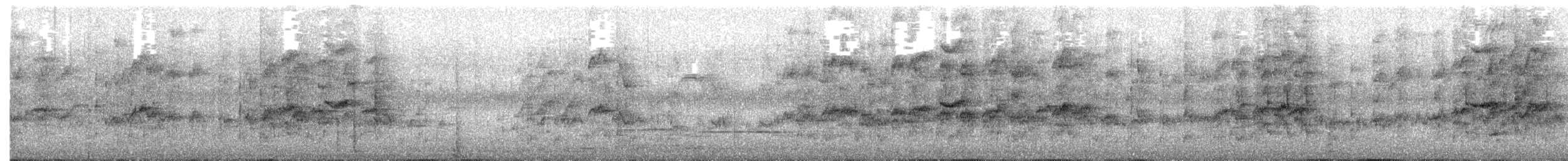 Котора коста-риканський - ML645837685