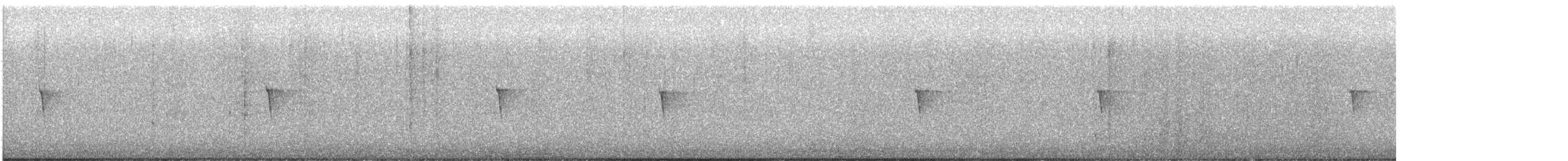 Светлобрюхий фиби - ML645838034