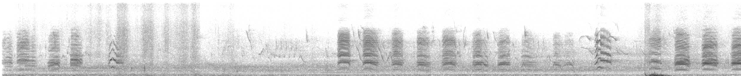 Patagonya Papağanı - ML645838708