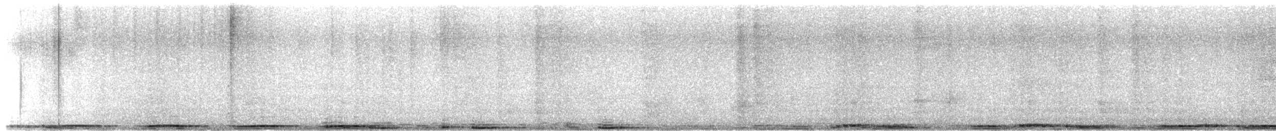 Kaya Güvercini (evcil tip) - ML645838991