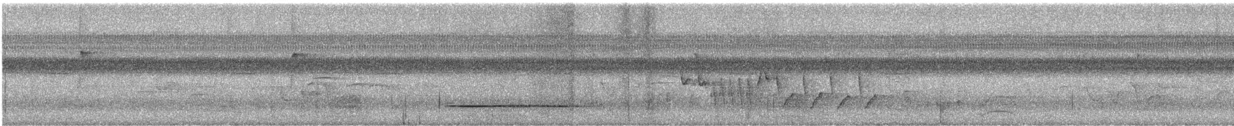 Küçük Tinamu - ML645839092