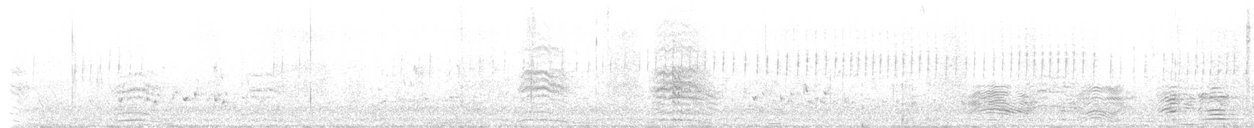 Asya Dik Kuyruklu Ötleğeni - ML645839439