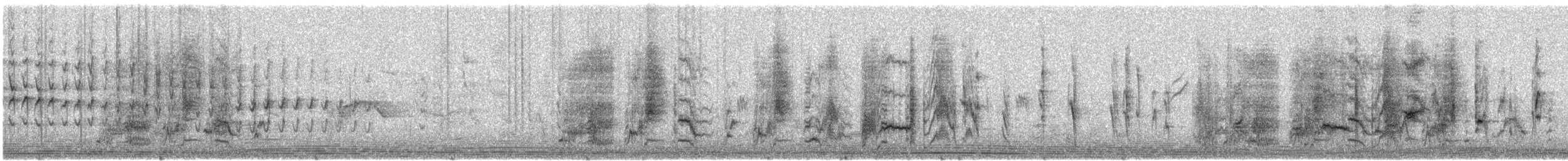 Kaphonigvogel - ML645839709