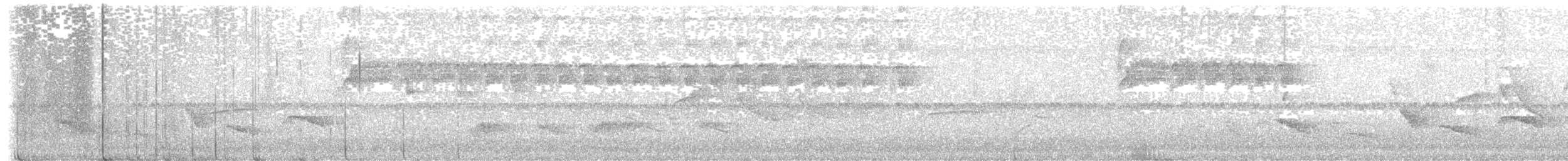 Колібрі білогорлий - ML645840653