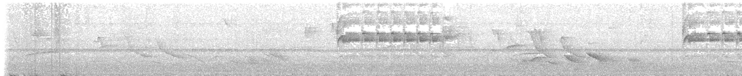 Белогорлый колибри - ML645840911