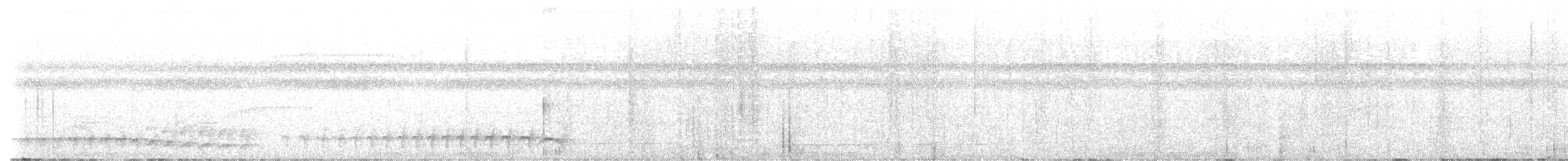 Амазонский колючник - ML645841856