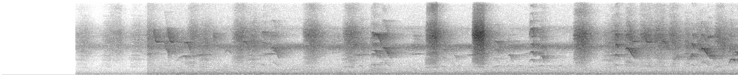 Пепельный дронго - ML645841991