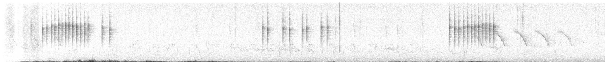 Пискливая цистикола - ML645842127