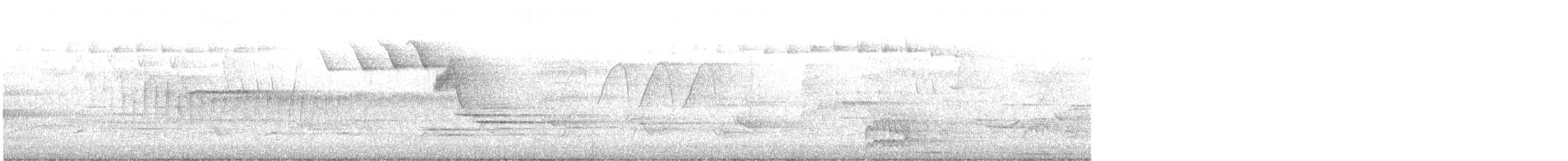 Blackpoll Warbler - ML645842239