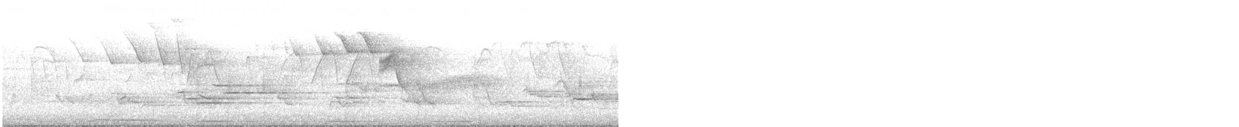 Mourning Dove - ML645842288