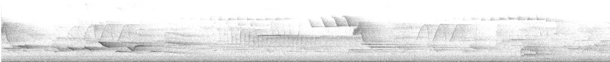 Балтиморский трупиал - ML645842312