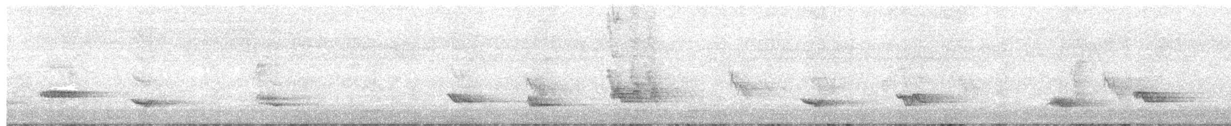 gråspurv - ML645842589