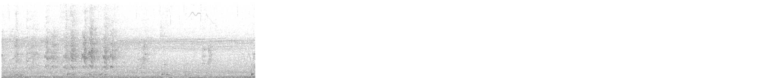 skjellhodepapegøye - ML645842831