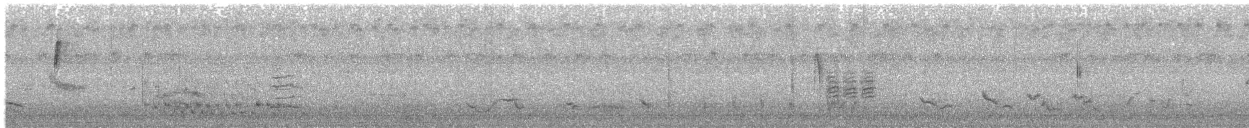 sørgedue - ML645843058