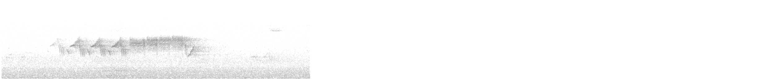 Очковая древесница - ML645843255