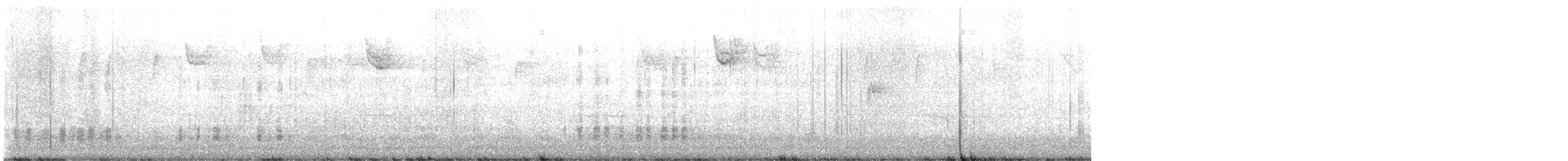 マガモ - ML645843742