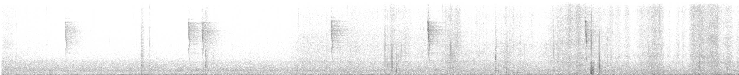 Pacific Wren - ML645844284