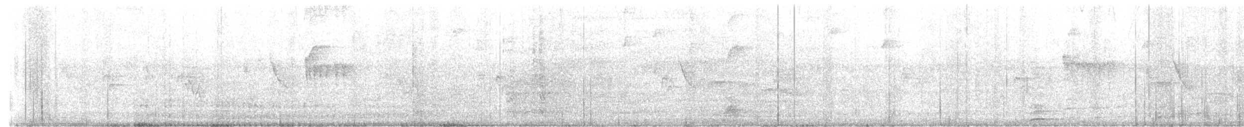 White-crested Tyrannulet - ML645844784