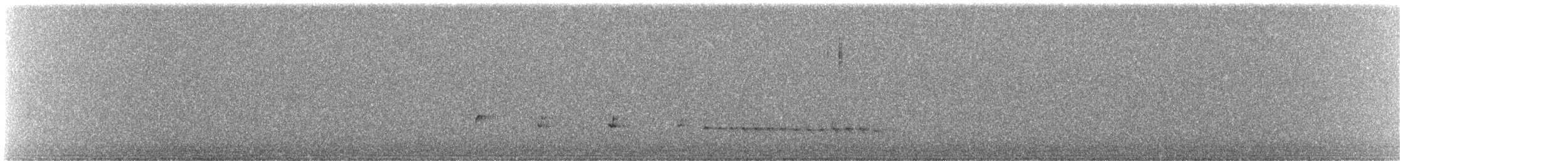 dvergdykker - ML645845648