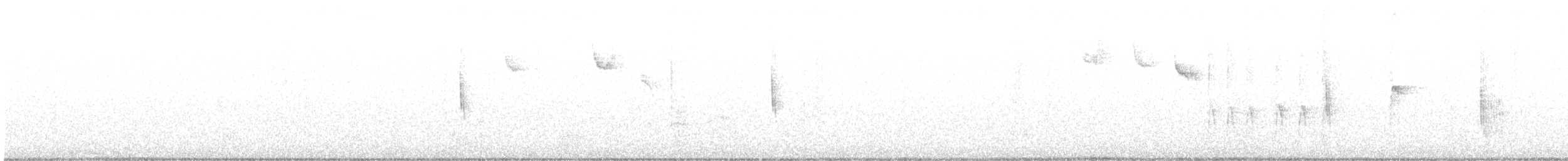 Sedge Wren - ML645846758