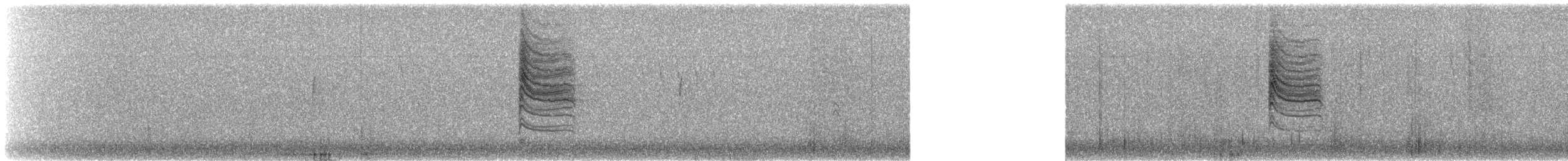 Blue-gray Gnatcatcher (Western) - ML645847293