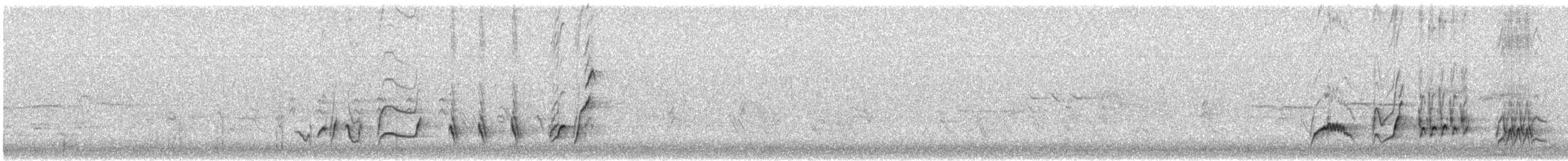 Curve-billed Thrasher (palmeri Group) - ML645847301