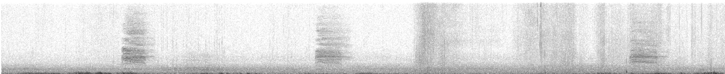 Clapper Rail (Atlantic Coast) - ML645847476