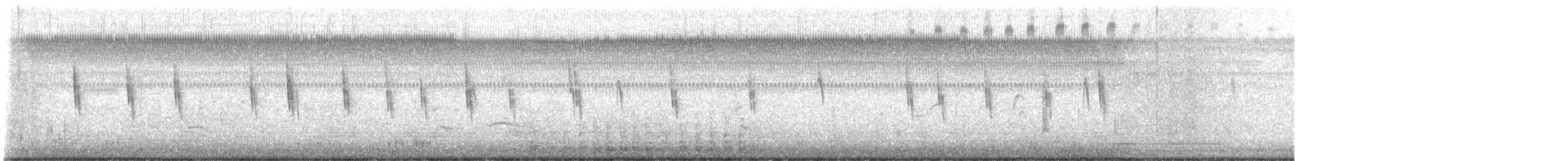 Sedge Wren - ML645848160