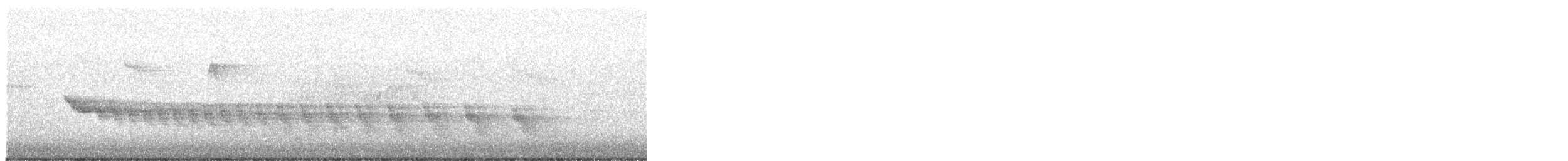 White-bellied Antbird - ML645848465