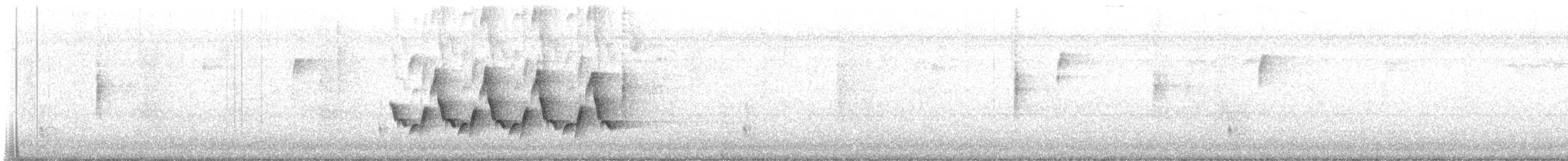 Hermit Thrush - ML645848579