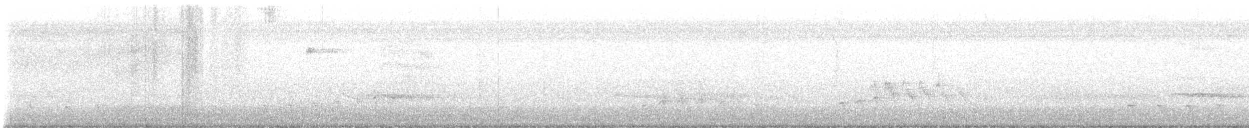 American Robin - ML645848701