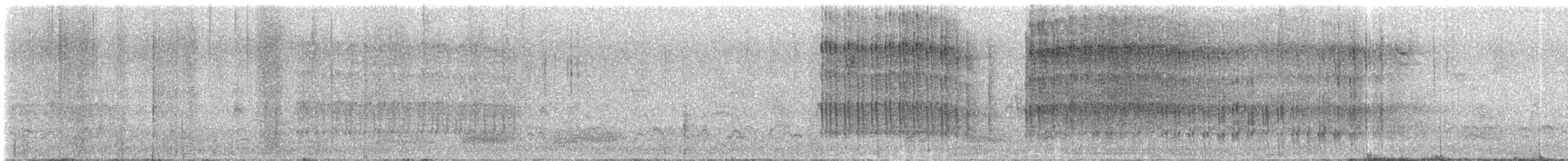 Belted Kingfisher - ML645849646