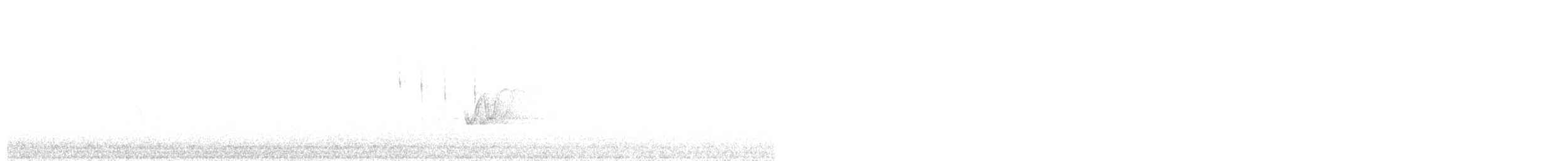 Chilean Tinamou - ML645849781