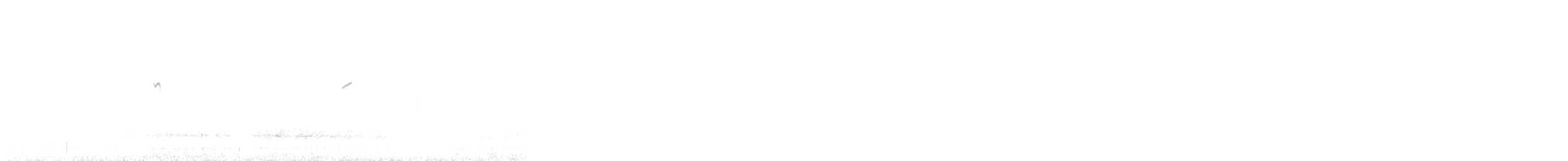 Puna Ground-Tyrant - ML645849847