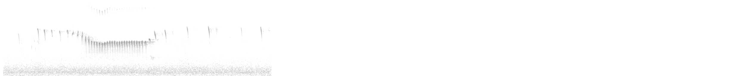 Ak Çizgili Sinklot - ML645850028