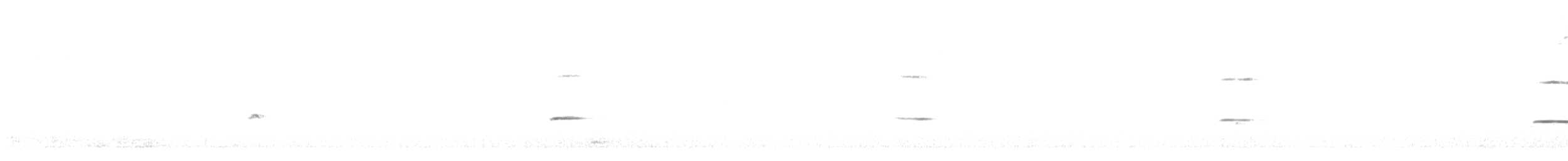 papouškovec královský - ML645850326