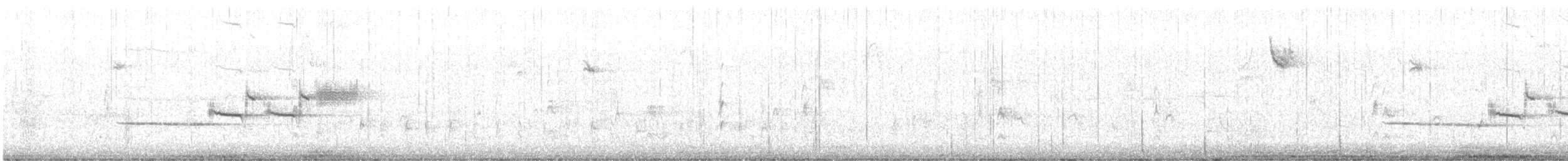 strnadec bělopásý (ssp. leucophrys/oriantha) - ML645850619