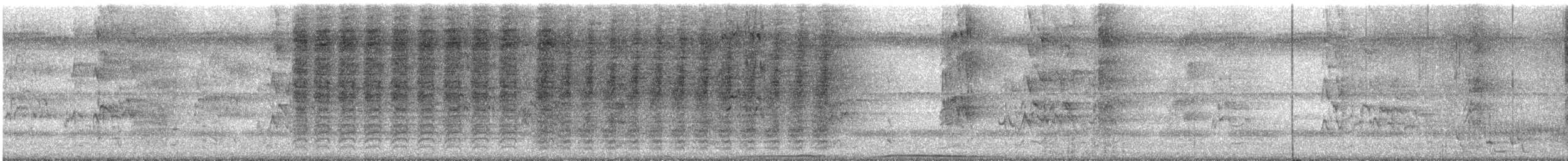 Spangled Drongo - ML645851213