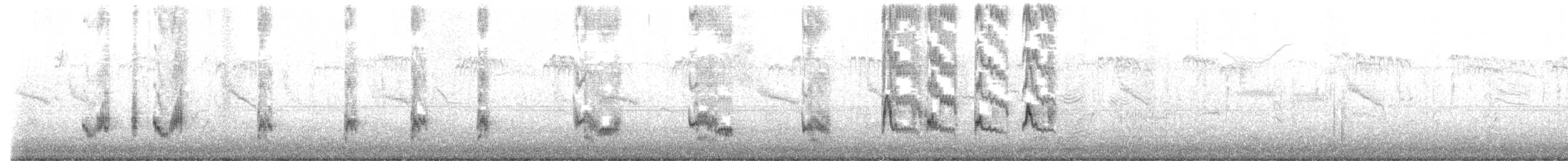 California Thrasher - ML645851293