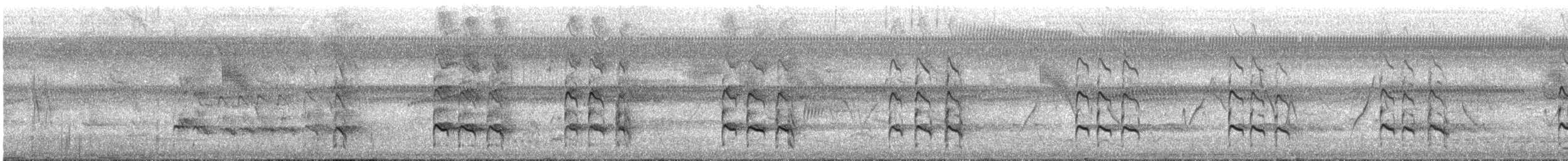 Greater Yellowlegs - ML645851345