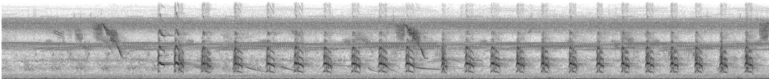 Greater Yellowlegs - ML645851346