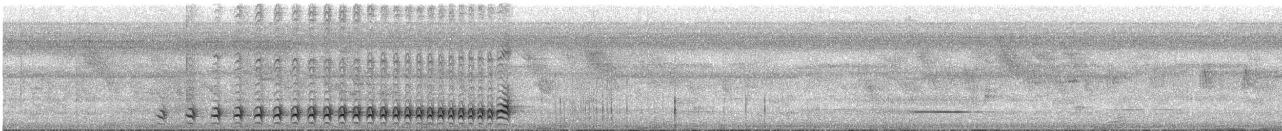 Lined Antshrike - ML645851468