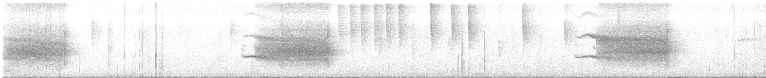 Spotted Antbird - ML645851644