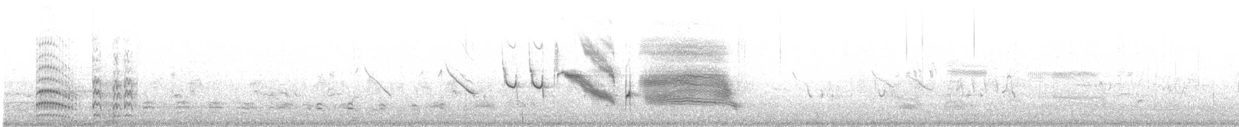 Long-tailed Meadowlark - ML645851808