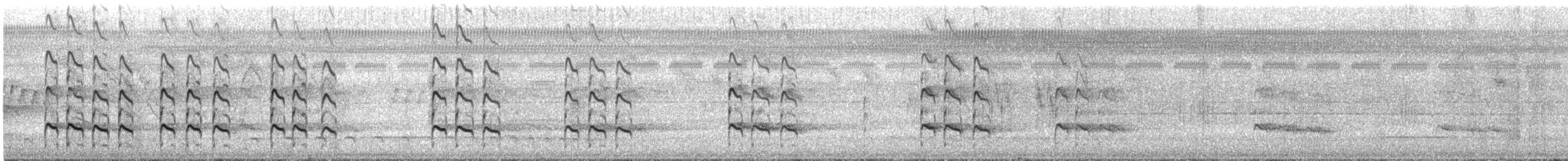 Greater Yellowlegs - ML645851982